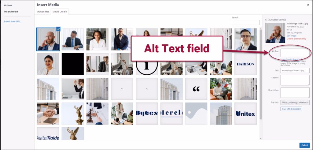 Elementor Accessibility Checklist: Alt Text, Keyboard, Contrast, and Forms 1 Elementor Accessibility Documentation Showing Image Alternative Text